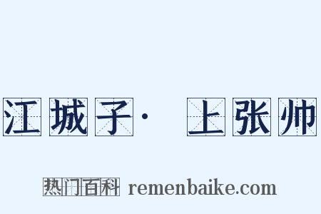 江城子·上张帅是什么意思的图片